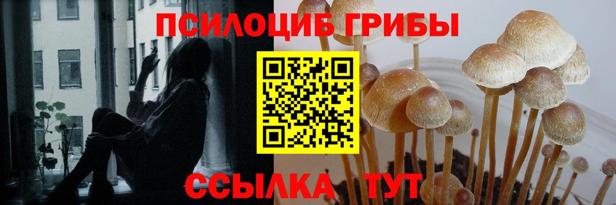 Галлюциногенные грибы Magic Shrooms Семилуки